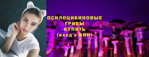 соль курить ск Пенза