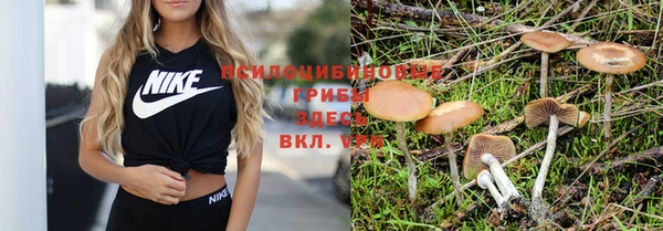 ешки Лихославль