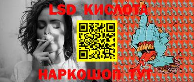 спайс Берёзовский