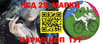 спайс Берёзовский