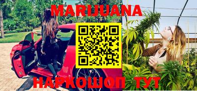 шишки Берёзовский