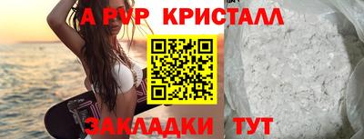 спайс Берёзовский